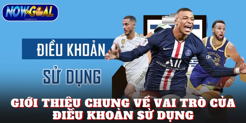 Giới thiệu chung về vai trò của điều khoản sử dụng